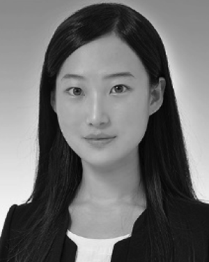 Su Jin Heo