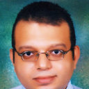 Ahmed Mohamed El Shal