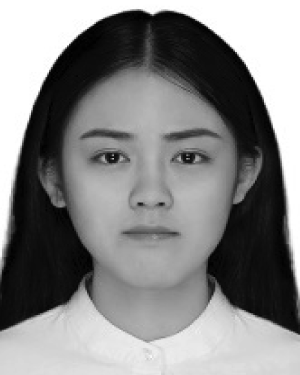 Zhuoya Shi