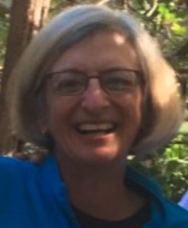 Lesa L. Aylward