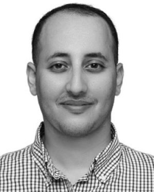 Mohammed A. M. Algerafi