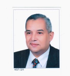 Mohamed H. Abo-Ghalia