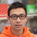Zhenlu Chong