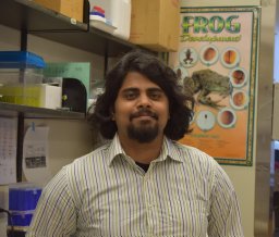 Navaneetha Krishnan Bharathan