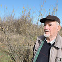 Radovan Ilic