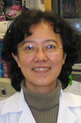 Zhongqin Liang