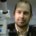 Ed Vanbavel