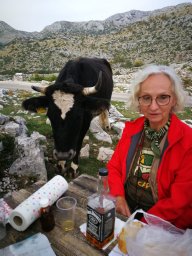Josipa Velić