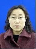 Chenhua Sun