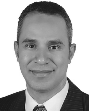 Mohamed R. Saber