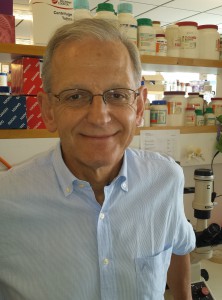 Andrew Lever