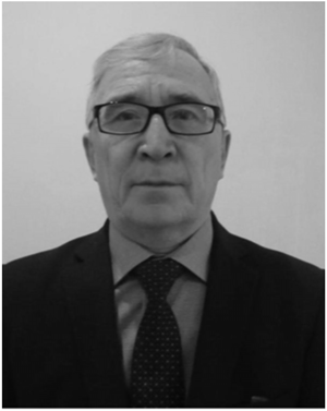 A. A. Shtygashev