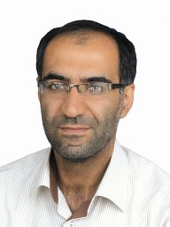 S. A. Hosseini