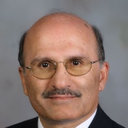 Saied Mostaghimi