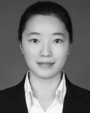 Dongmei Wang