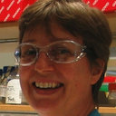 Sigrid A Lehnert