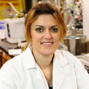 Azita Haddadi