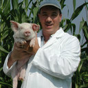 Harry Dawson