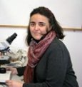 Ortiz Pilar