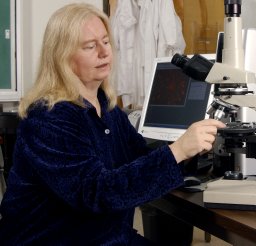 Chandra L. Reedy