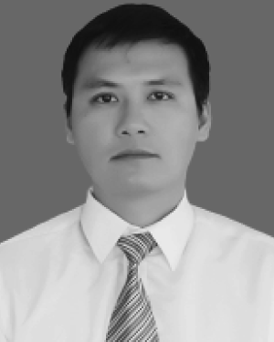 Hoang Viet Long
