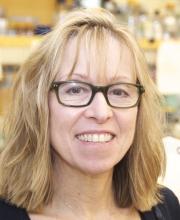 Vicki Rosen