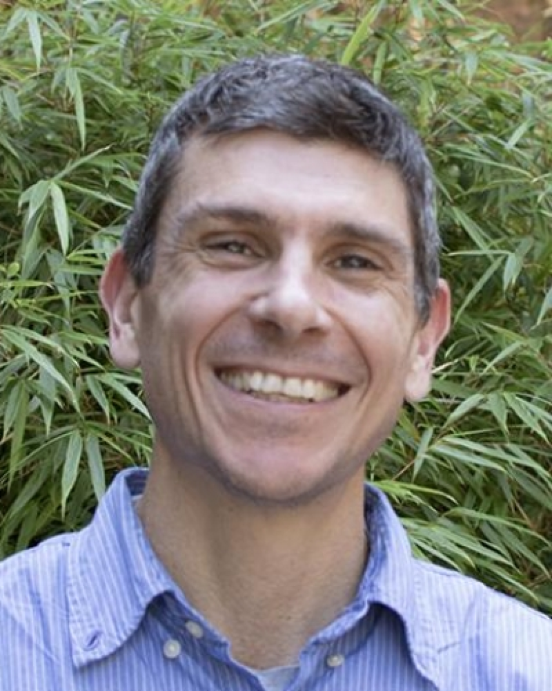 Demian M Saffer