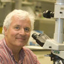 Frank Horodyski