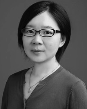 Limin Yu