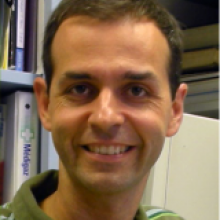 Jacques Lapointe