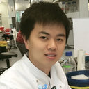 Ying Zhang