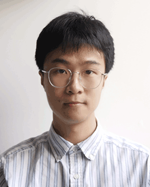 Wenjie Li