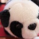 Yi Shi