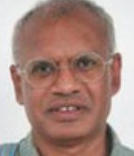 Bipin Indurkhya