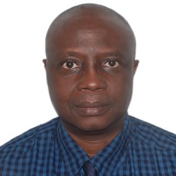 Olugbenga A Okunlola
