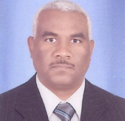 Ali M. Hamdan