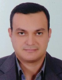 Ahmad A. A. Solyman