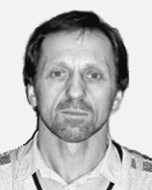 Vladimir A. Kokshenev