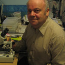 David I Whiteside
