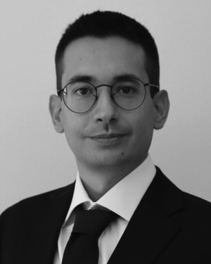 Enrico Vico