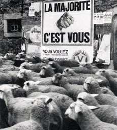 Aurelien Masseboeuf