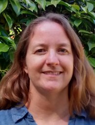 Susan M Noworolski