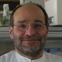 Jurgen A Bohnert