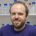 Frank Splettstoesser
