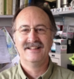 Trefford Simpson
