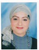 Mahjoub, S.