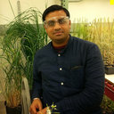 Arun Banerjee