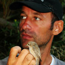 Renzo Ientile