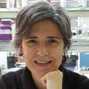 Carmen G. Sotelo