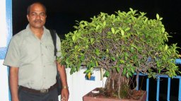 S. Prabu Seenivasan